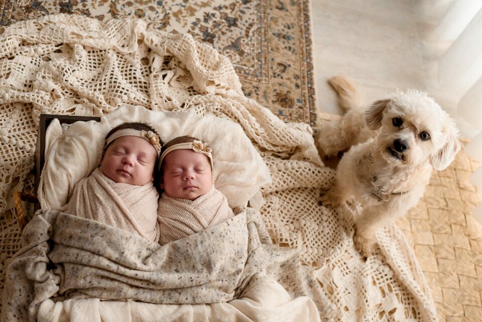Ensaio Newborn em Brasília com Helena e Clara